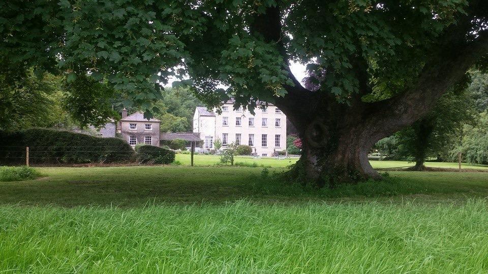 Clonacody House Pensionat Clonmel Eksteriør billede